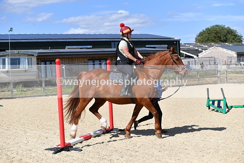 WJ5_4998 - Poles on the Floor