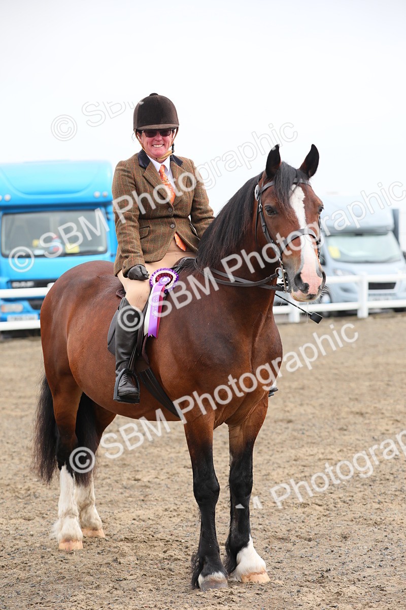 SBM_21418 - Class 805 - Ridden Veteran Horse
