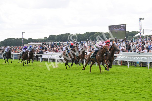 230824-Race 2-Vauban-8935 - Race 2 2.25pm Weatherbys Hamilton Lonsdale Cup Stakes