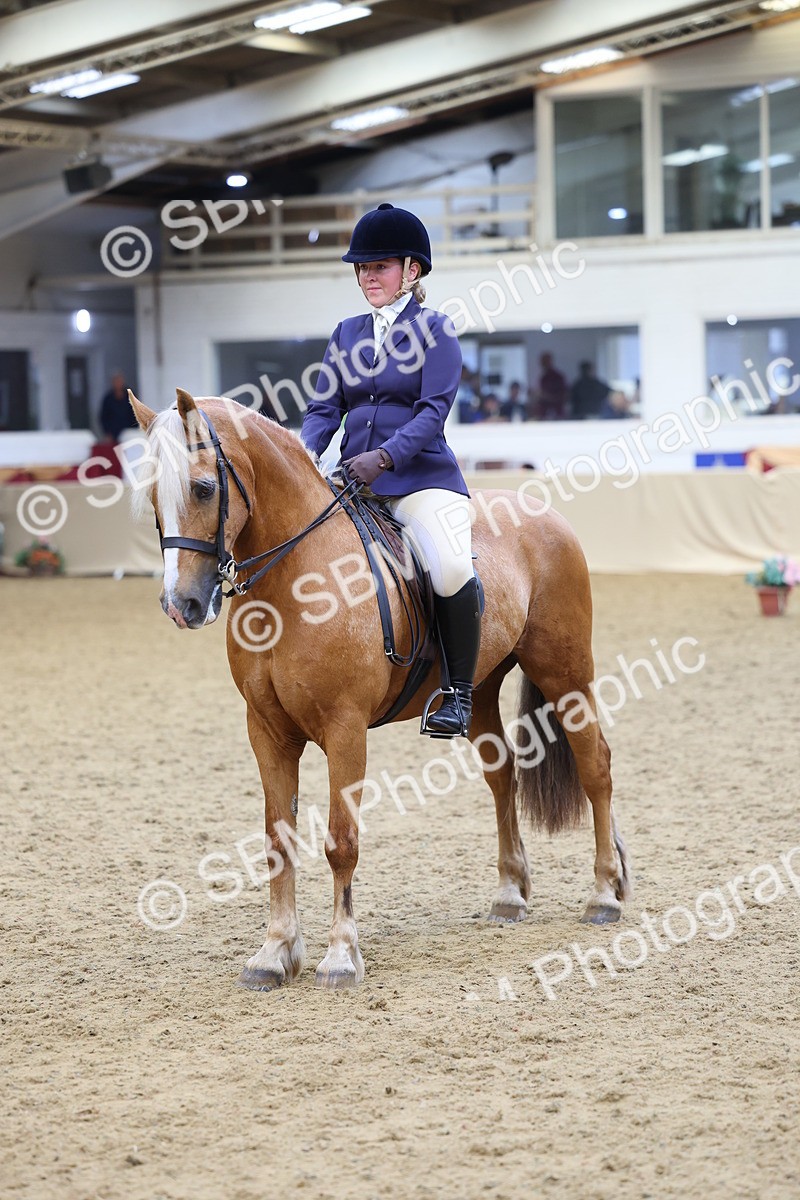 SBM_23550 - Class 904 - Supreme Final Ridden Diamond