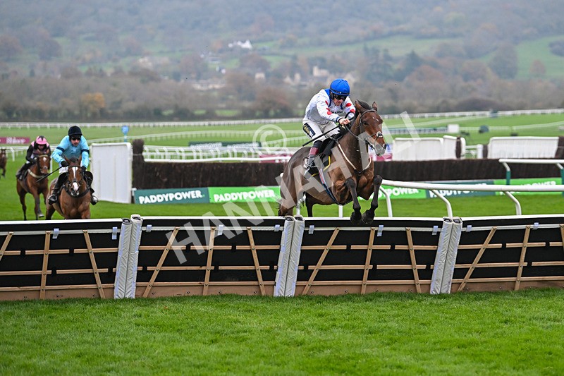 151124-Race 5-Potters Charm-8436 - Race 5