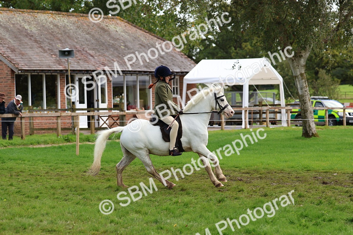 SBM_45209 - S27 - Young Veteran Ridden
