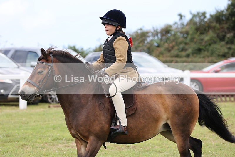 JPP_1774 - Class 18: Tiny Tots Working Hunter Pony