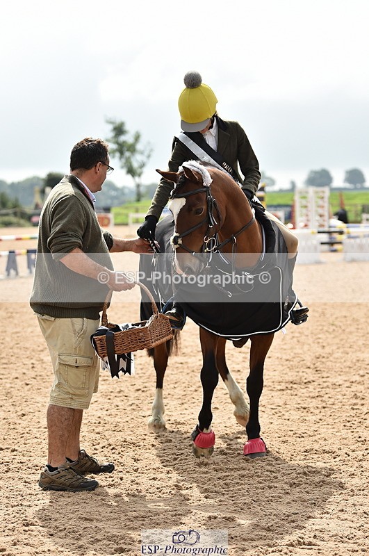 230902A-120240-00902 - Cls 2B Pony Small 80cm