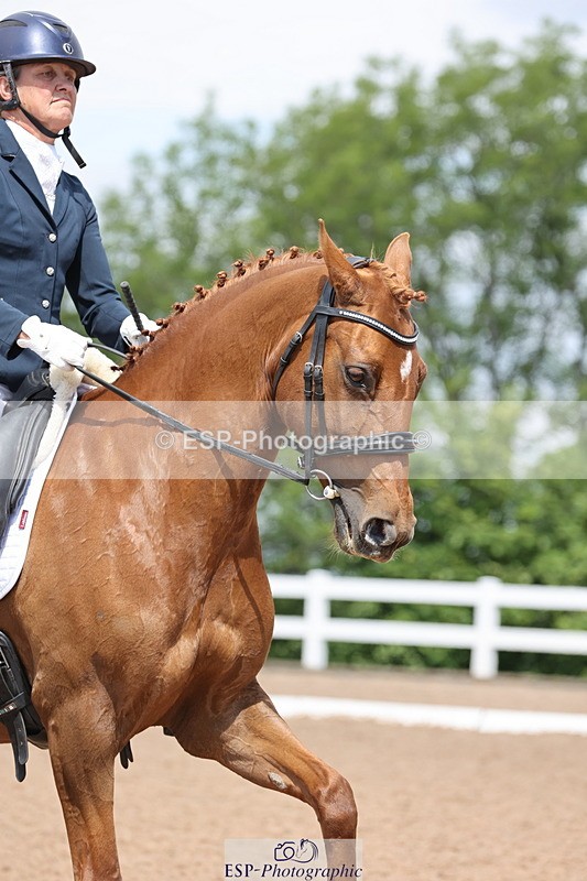 240621A-113939-00468 - Cls 12 BD Music Medium