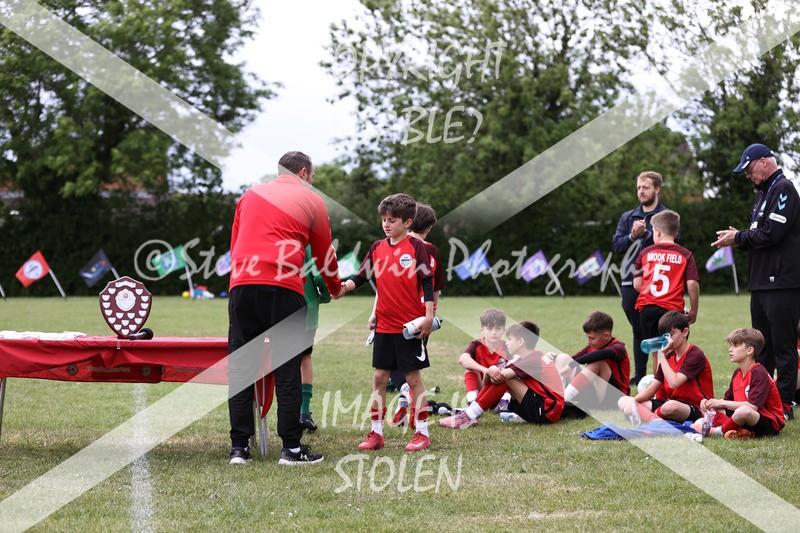 1DX31551 - Brook Field V Goddard Park
