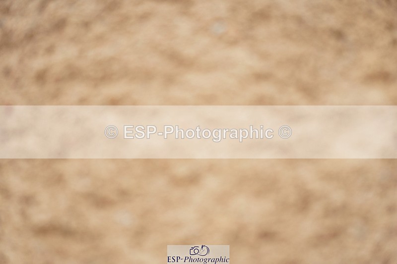 240317A-103124-04926 - Cls 25 Snr 1.20m Open