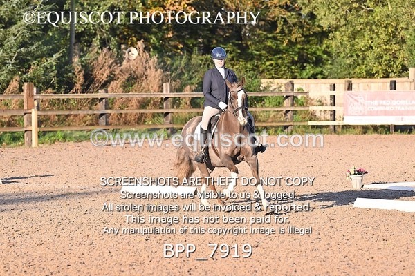 BPP_7919 - LONG ARENA