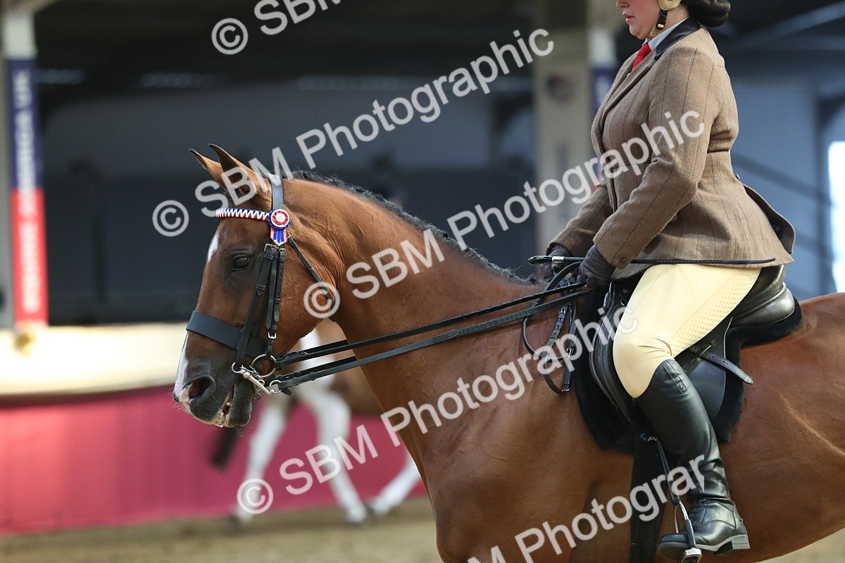 SBM_08327 - Class 11R Regional Ridden Veteran