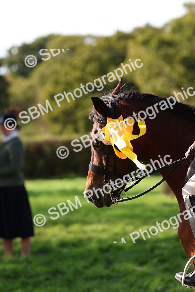 SBM_47864 - S28 - Veteran Ridden