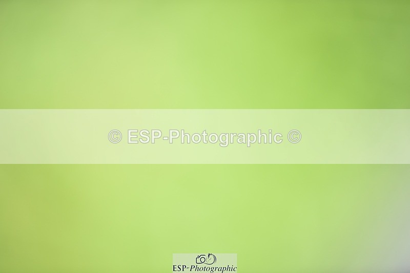 240605-141354-01114 - Cls 6 Elementary 59 SQ