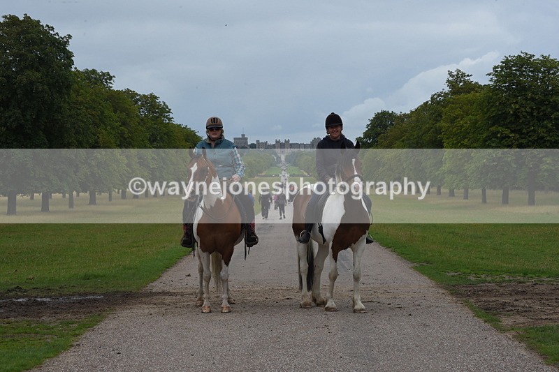 TT3_9567 - Time at Crossing 11:28 to 13:16