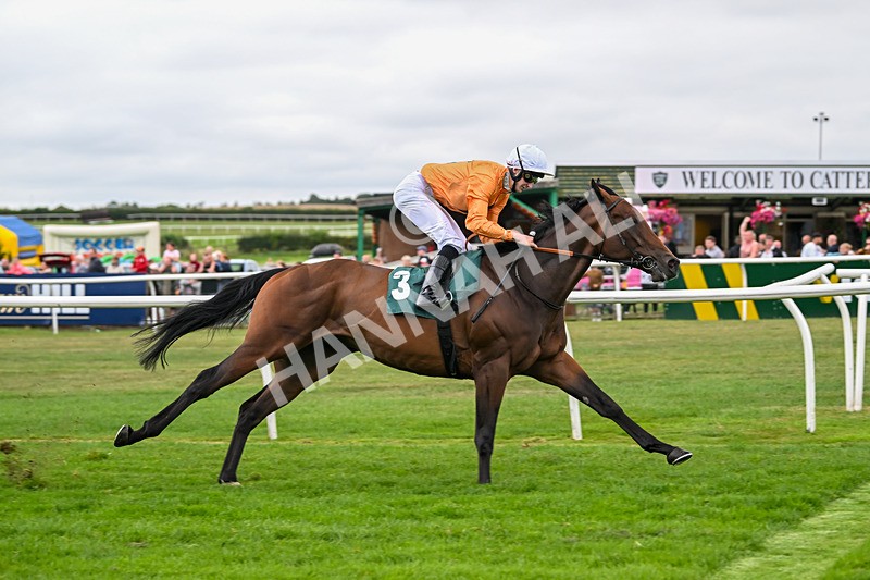 180825-Race 4-Alther Walden-8742 - Race 4