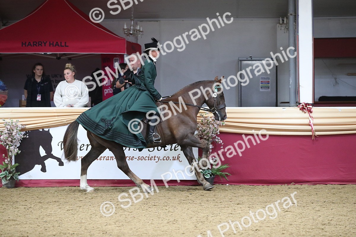 SBM_12135 - Class 107 Ridden Costume- Astride Adult (20+)