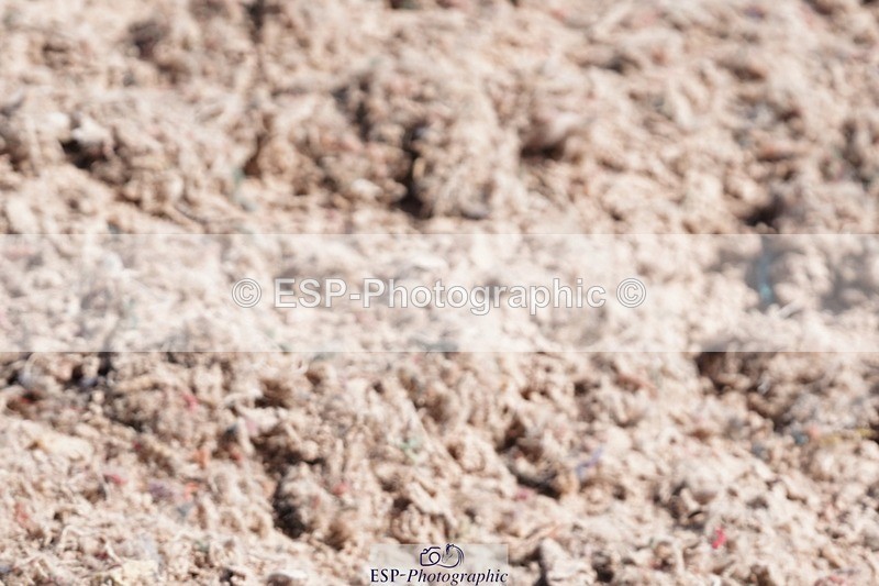 250503-143340-01559 - Cls 28 Springboard