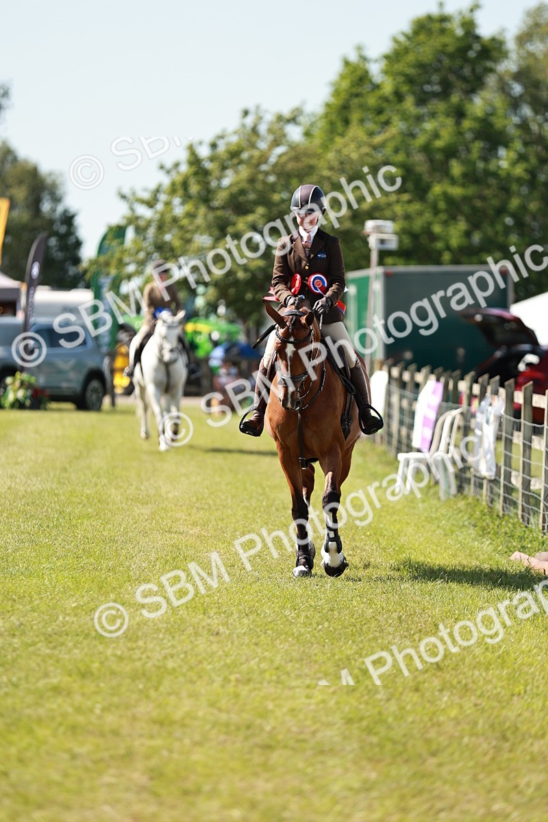 SBM_18562 - Class 112-113 - BSPS LIHS Working Sports Pony