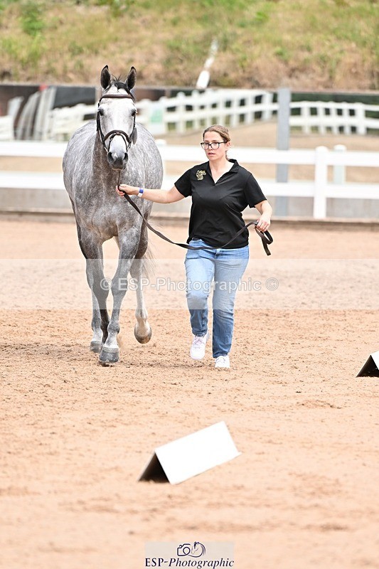 250716-142159-01040 - Trot Up 1.30 to 2.30