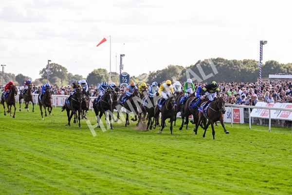 240824-Race 4-Magical Zoe-1626 - Race 4 3.35pm Sky Bet Ebor Handicap
