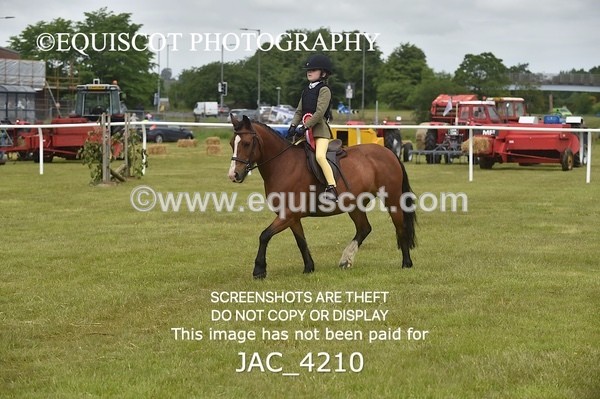 JAC_4210 - WORKING HUNTER CHAMPIONSHIP