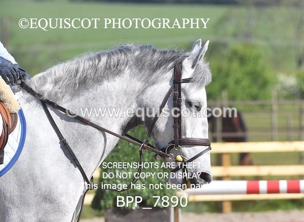 BPP_7890 - CLASS 1 - CLEAR ROUNDS