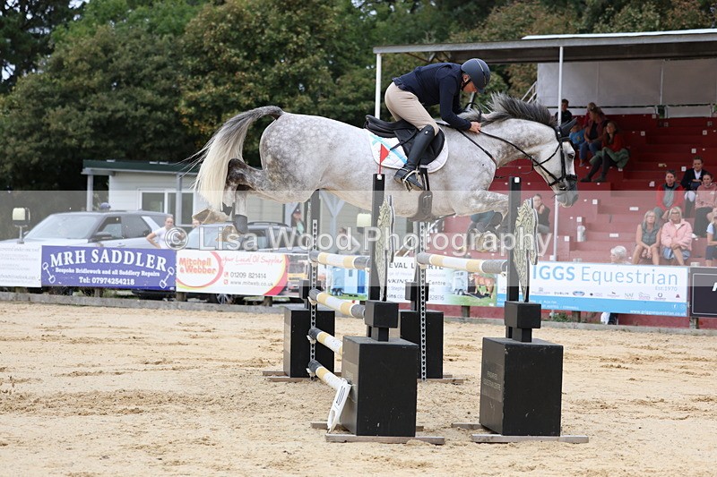 3E7A3338 - Class 9: Senior Foxhunter/1.20 open