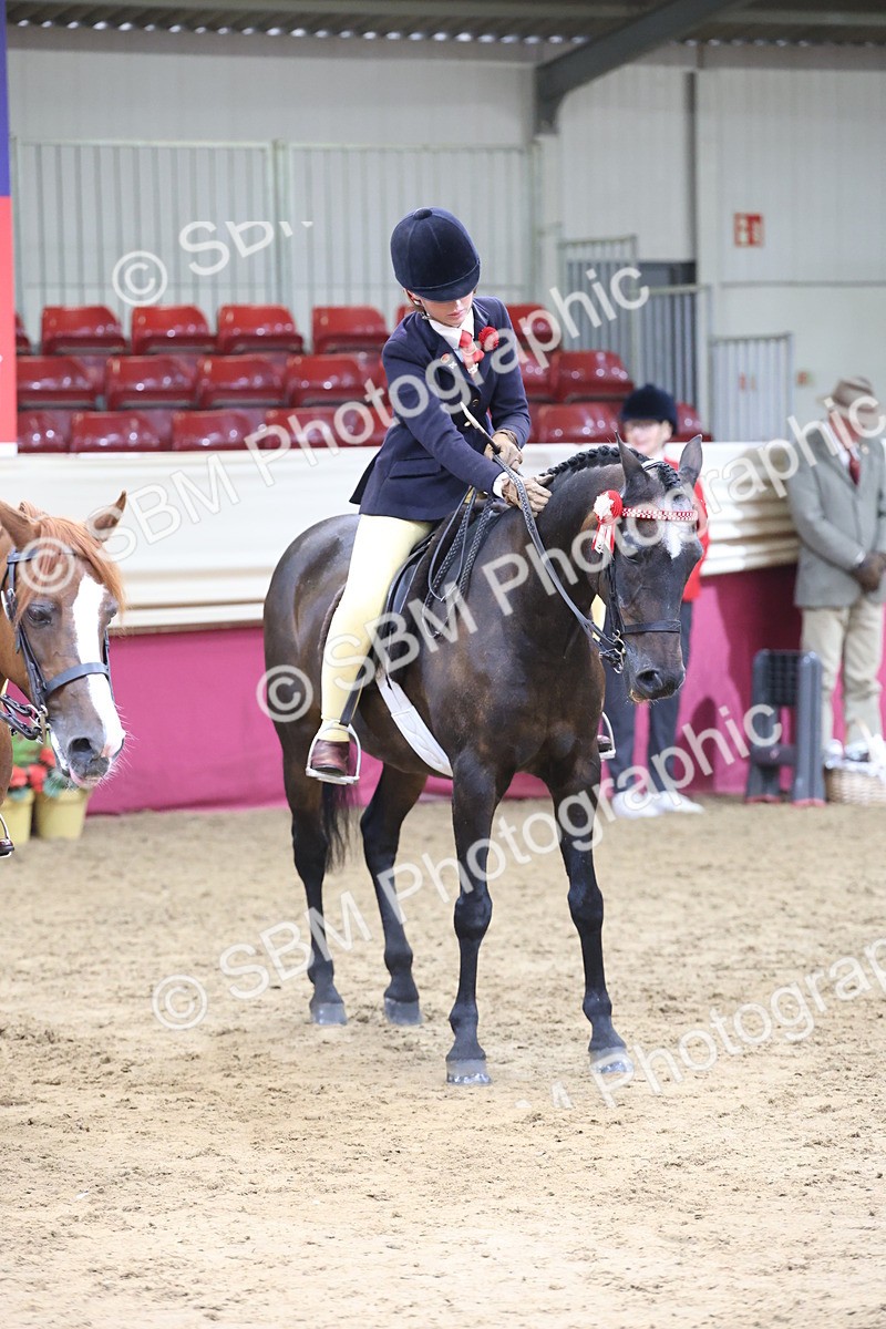 SBM_23596 - Class 904 - Supreme Final - Ridden Diamond