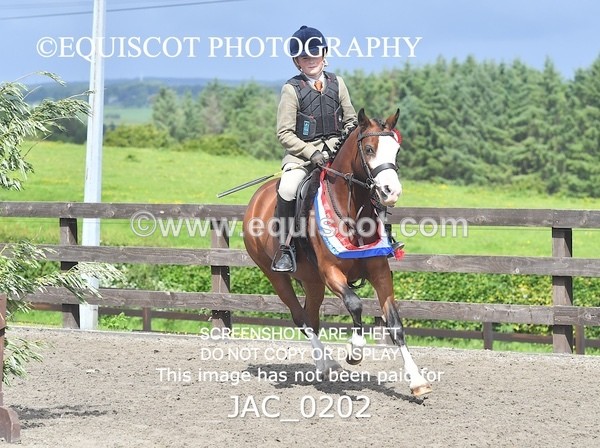 JAC_0202 - CHAMPIONSHIPS AND SUPREME