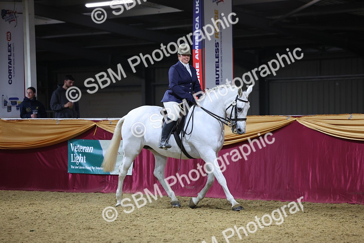 0B8A4483 - Class O Ridden Show Horse Champ