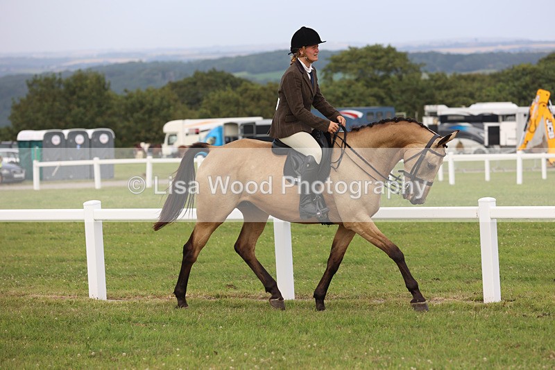 JPP_4415 - Class 26: Working Hunter 1m
