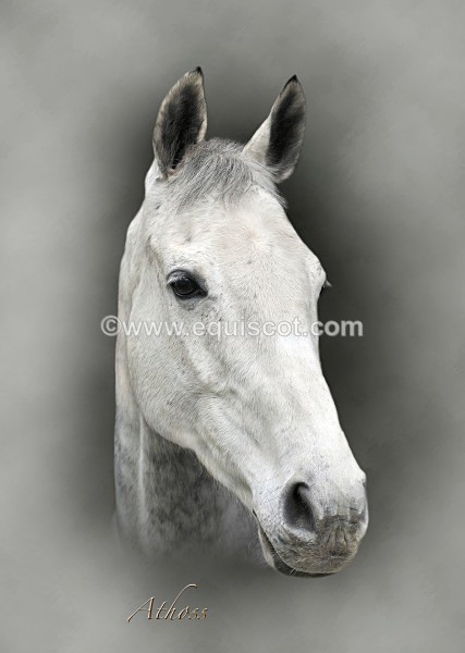 athossv3 - 12GIFT2013