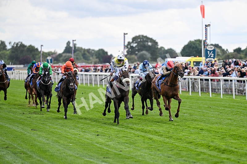 210826-Race 3-Arapaho Gold-5738 - Race 3 15.00pm Al Basti Equiworld Dubai Gimcrack Stakes