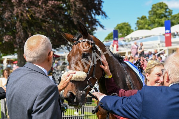 140625-Race 3-Al Qareem-2620 - Race 3 3.00pm Sky Bet Race To The Ebor Grand Cup Stakes