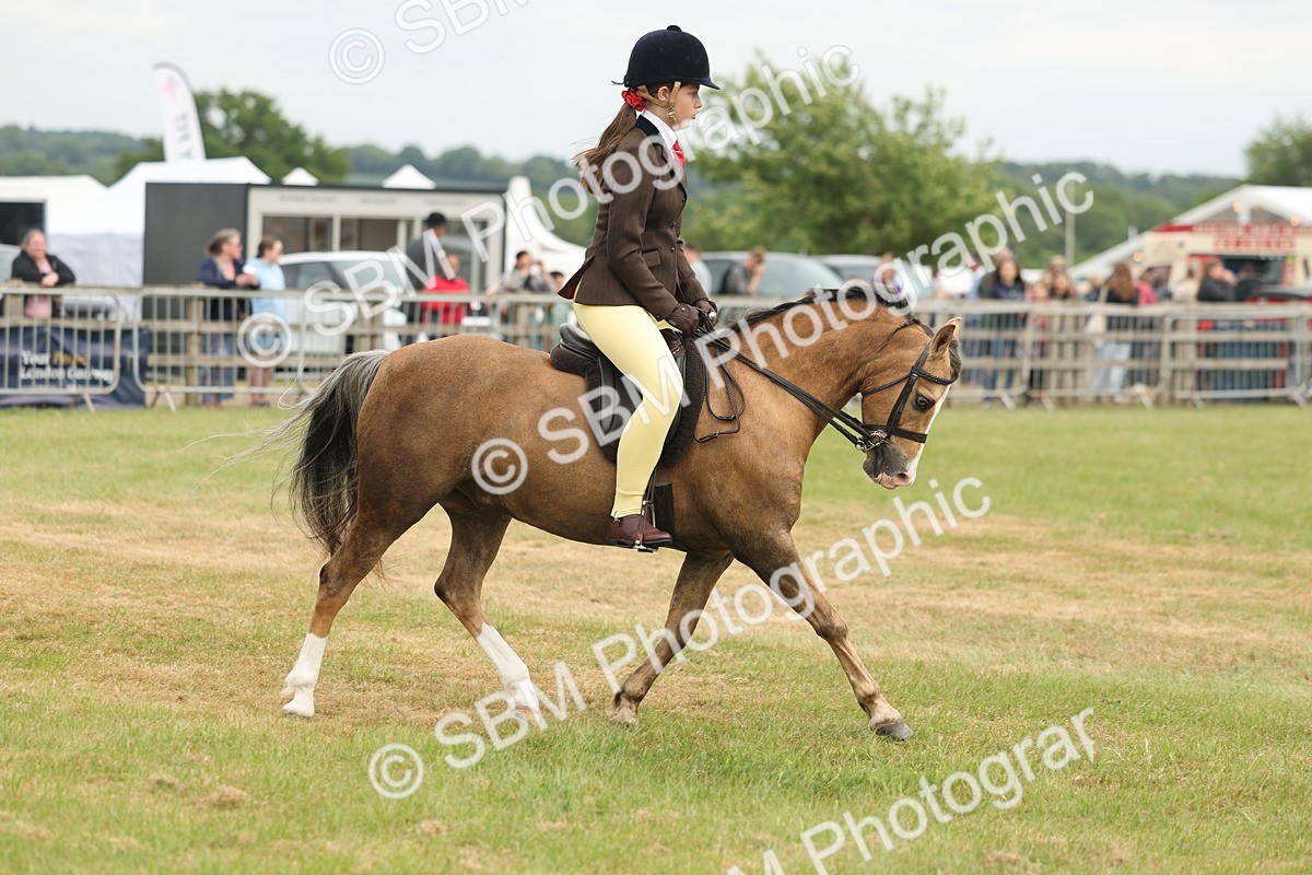 SBM_07105 - Class 76-77 - Ridden M&M Welsh Ponies