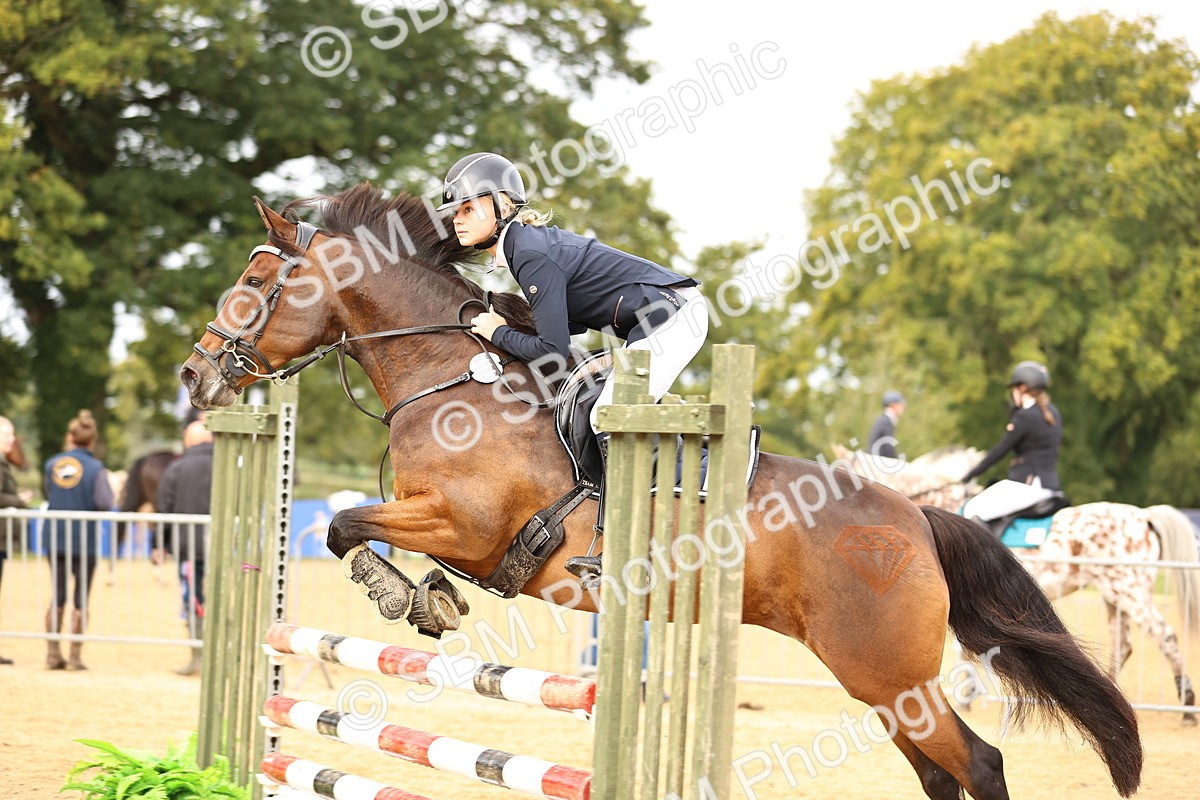 SBM_58433 - J41 - Grand Tour Horse & Pony 95cm