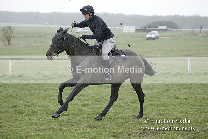 PtP 150320 0033 - New Forest Point-to-Point Larkhill 15/03/20