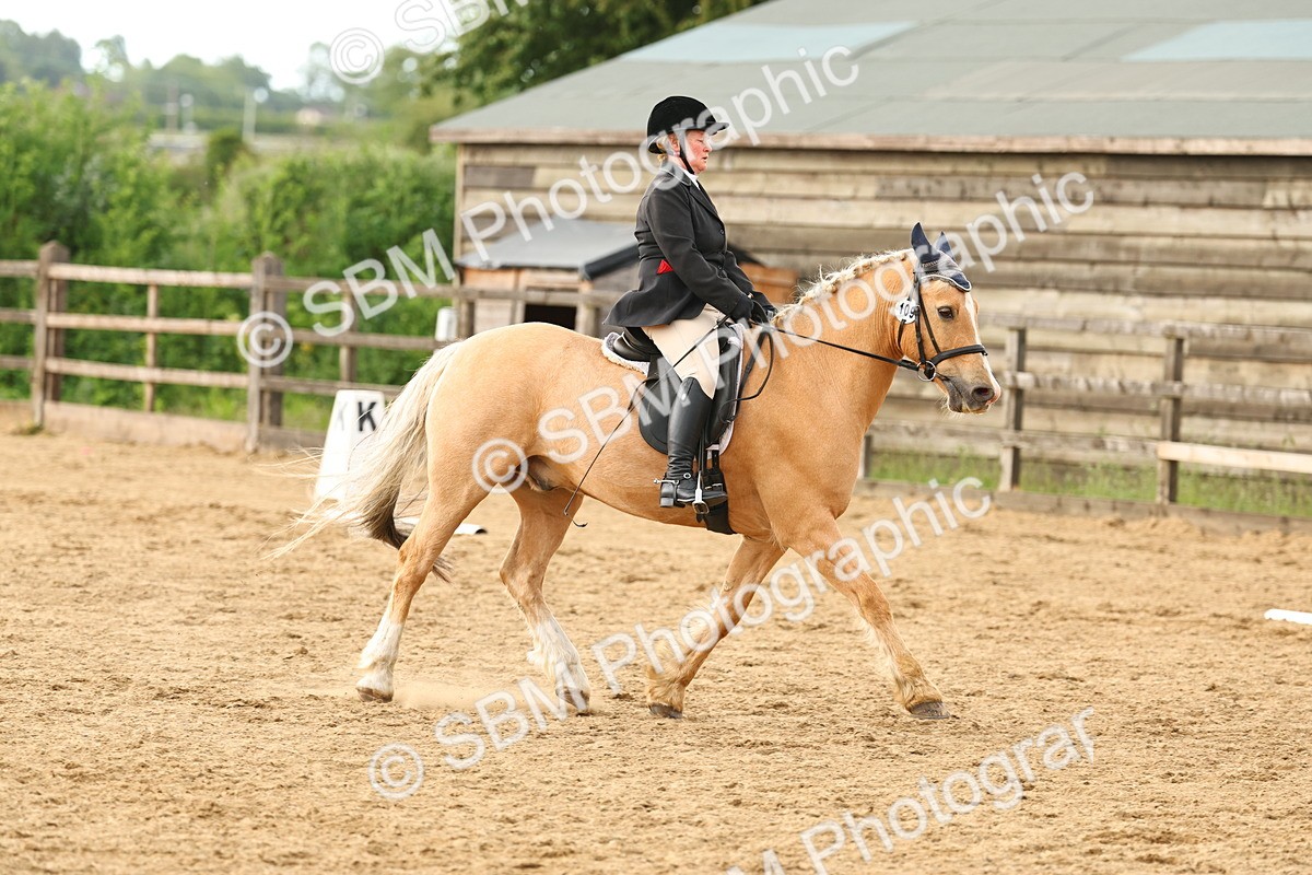 SBM_003271 - Class 7 - Novice 2