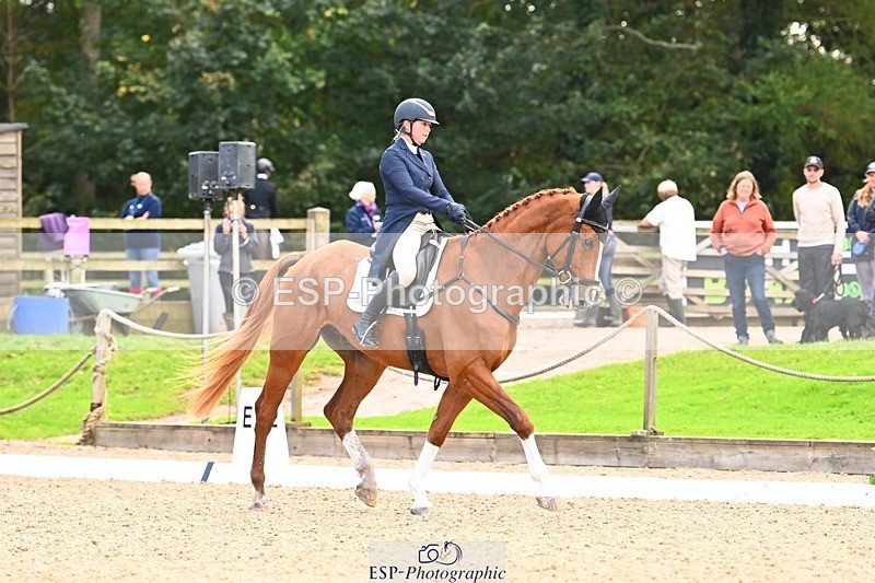 231020-145525-10033 - 311-DALOUBET.MANSOLEIN.Z-Kat.Raybould-DR