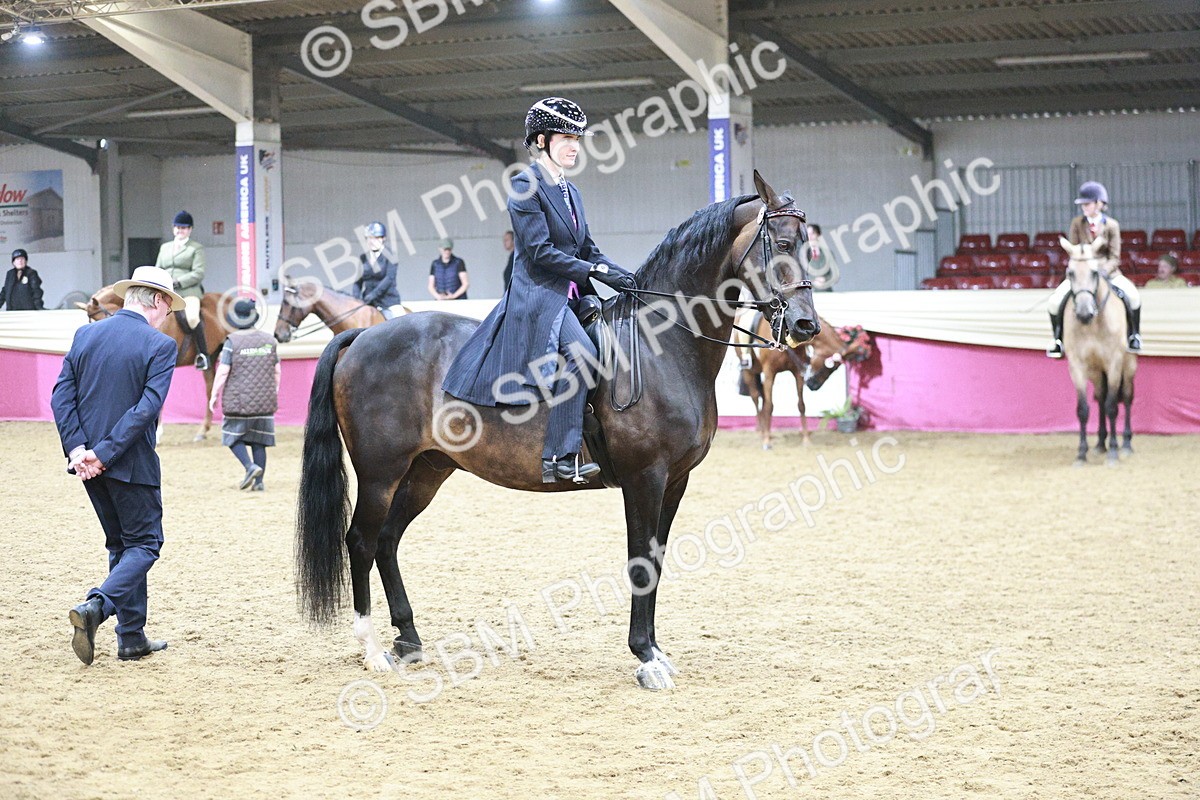 SBM_03357 - Class 6A Area Ridden Pre-Vet