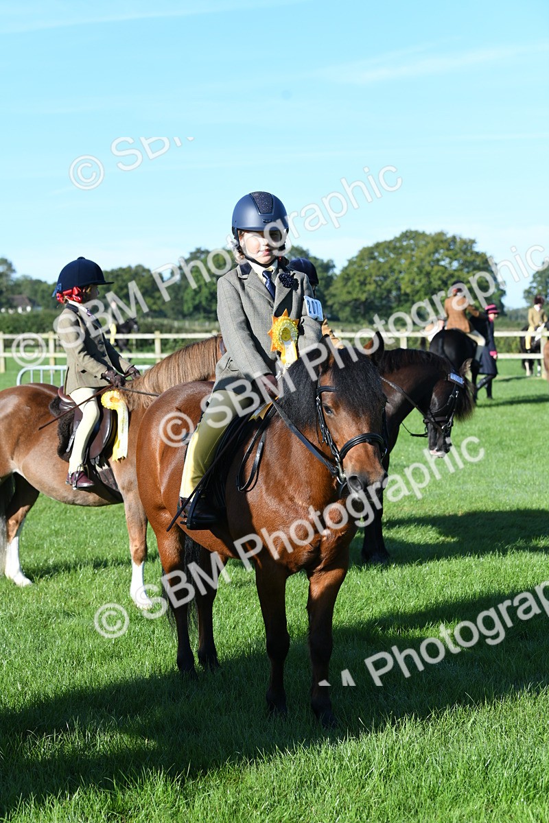 SBM_34126 - S16 - Condition & Turnout - Ridden