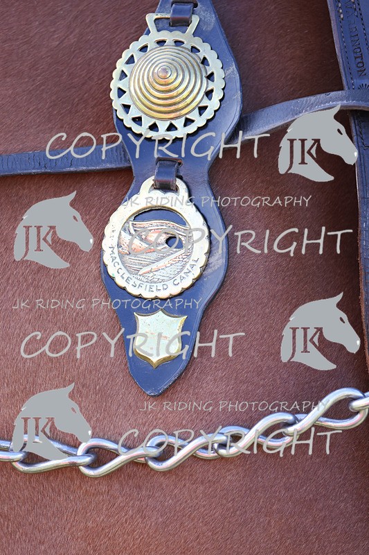 APP_4065 - Class 19 Fancy dress