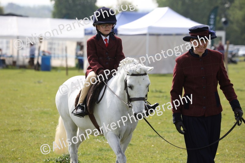 20260426-2555 - Class 31 - Leading Rein