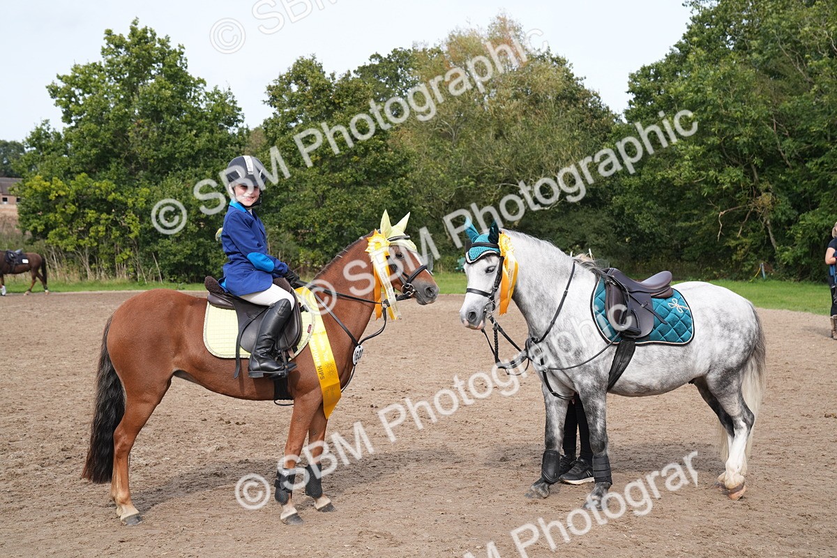 SBM_70535 - J3 - Mini Tour Junior Pony 40cm Championship