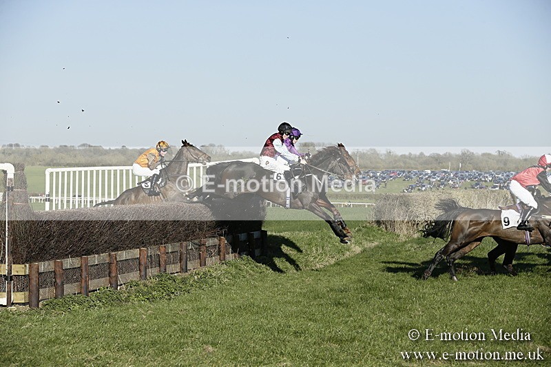 PtP 250317 482 - V.W.H. Hunt Point-to-Point Siddington 25/03/17