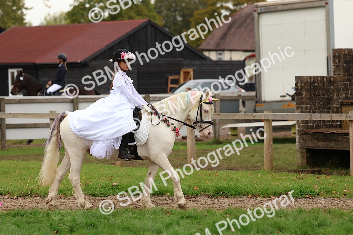 SBM_62155 - S37b - Best Unicorn