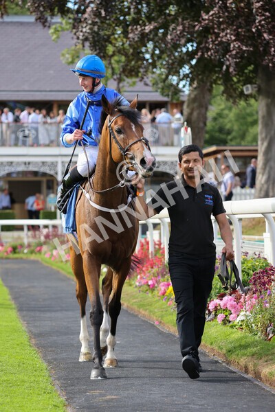 yr08072022r7-24 - Race 7 5.30pm Jigsaw Sports Branding Handicap