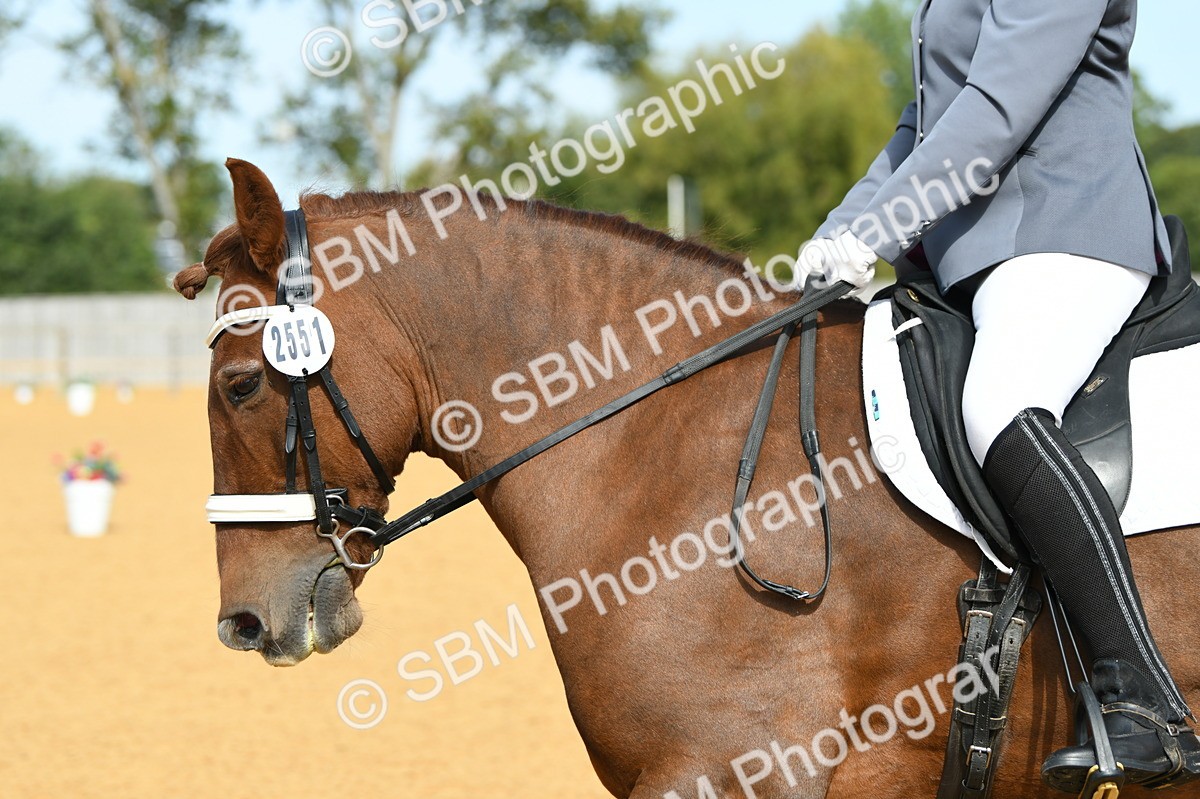 SBM_20905