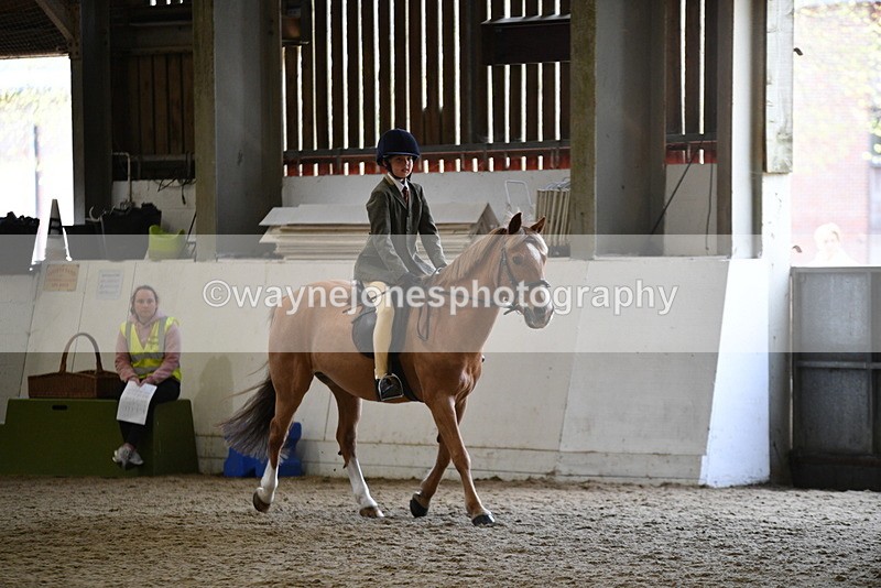 WJ5_6225 - Class 9 Ridden Veteran