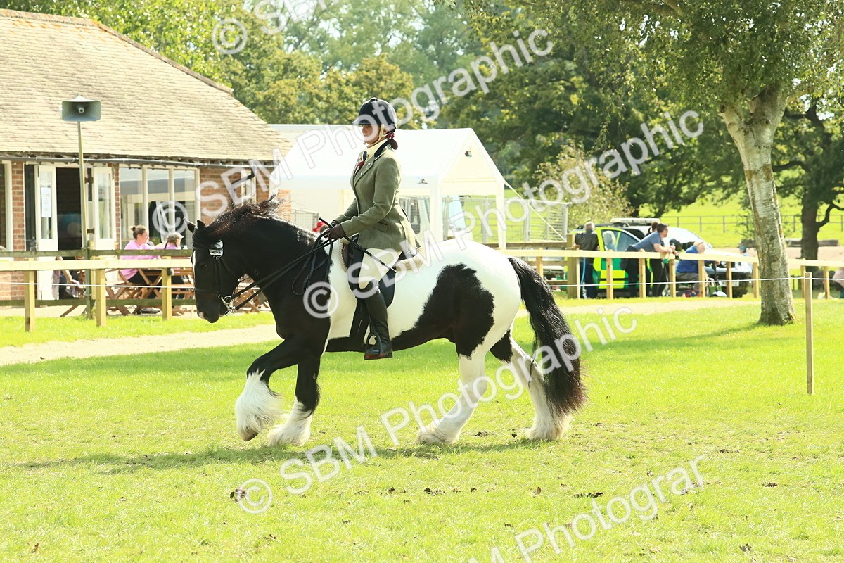 SBM_67573 - S56 - Coloured Pony Ridden