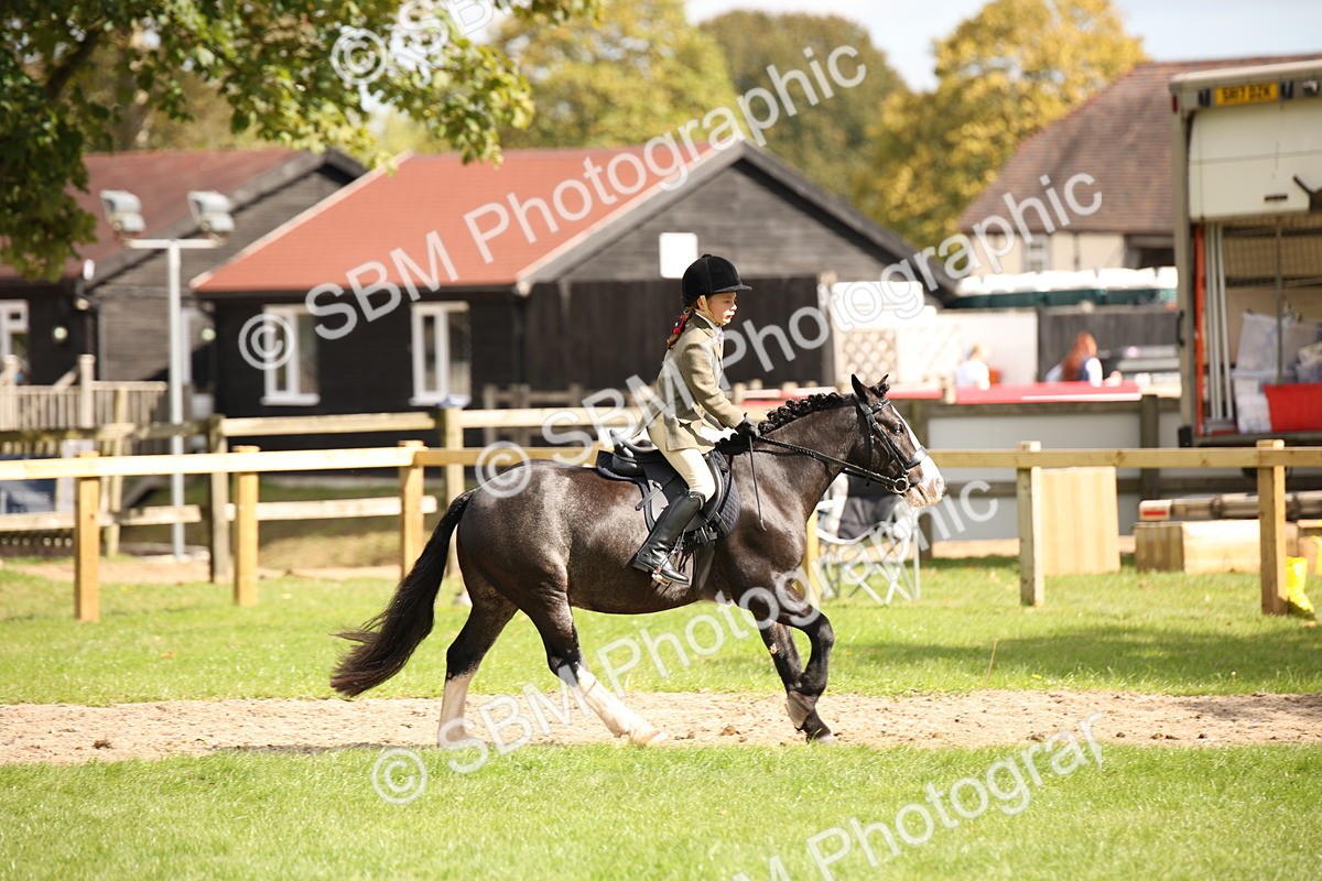 SBM_42279 - S13 - Pony Club Pony