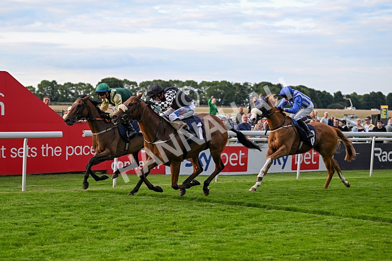 220724-Race 5-King Sharja-1995 - Race 5